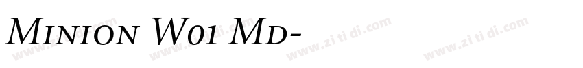 Minion W01 Md字体转换